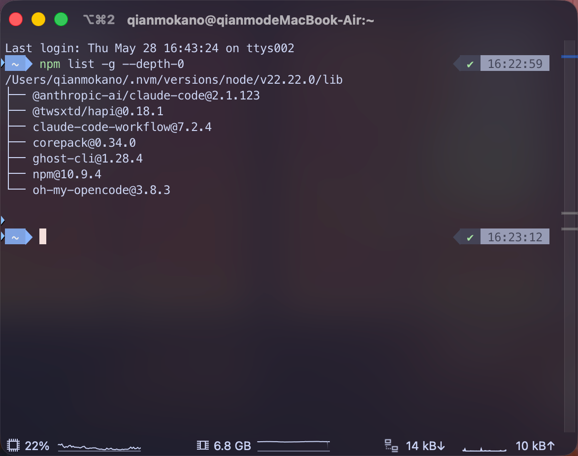 npm 环境检查